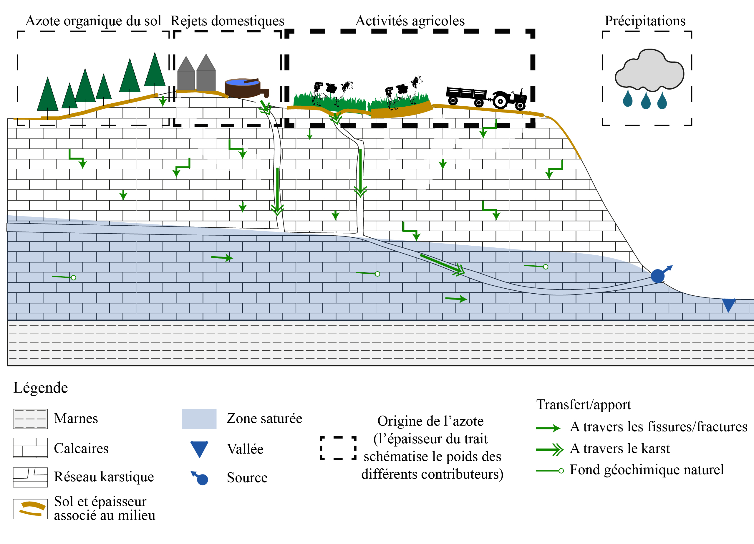 Schéma conceptuel de contamination